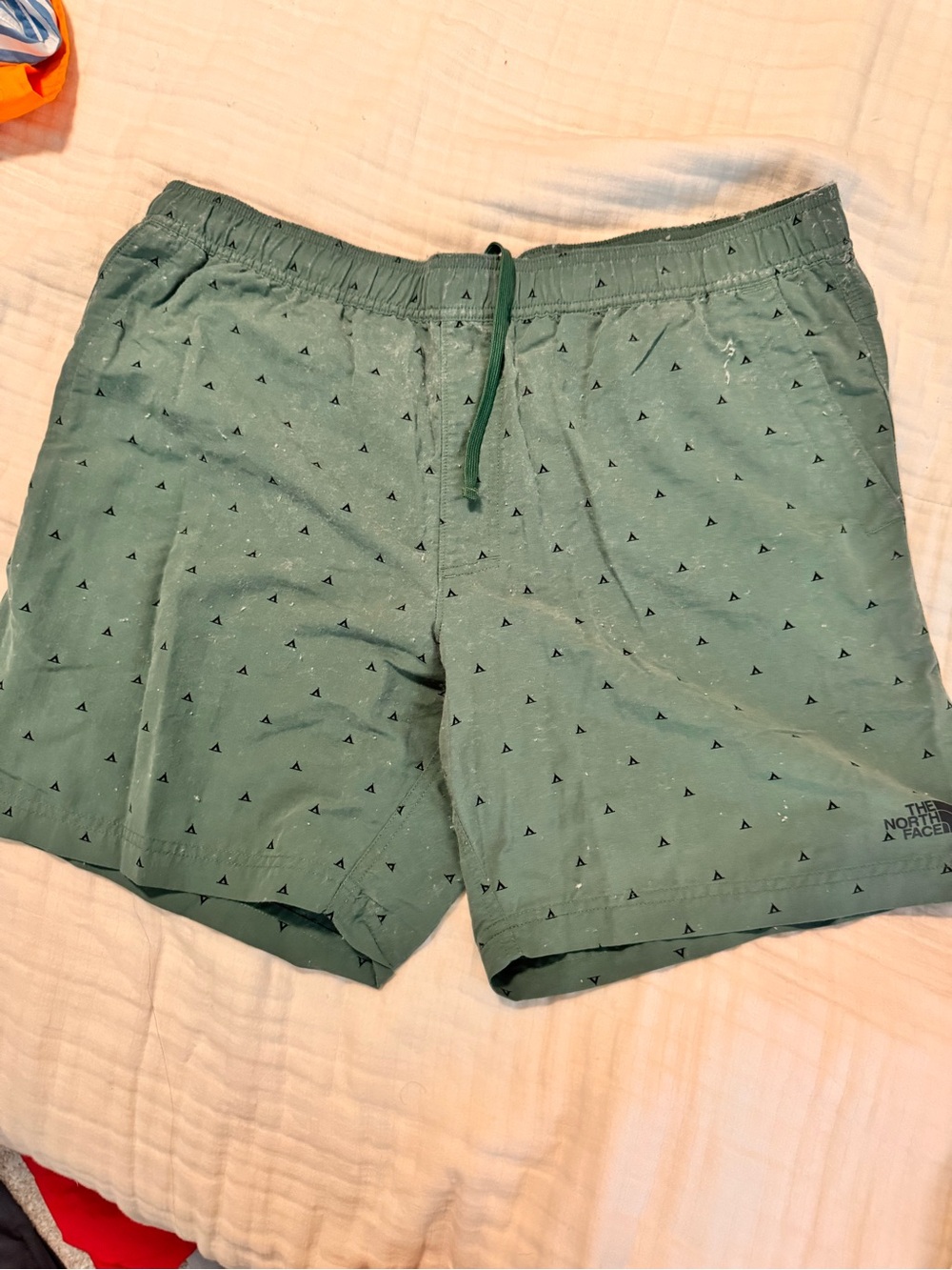 The North Face Men’s Sage Green Printed Swim Trunks
